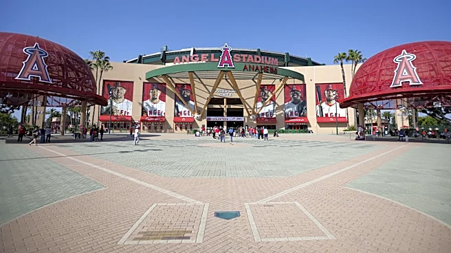 John Mozeliak Appointed as Interim General Manager of Los Angeles Angels