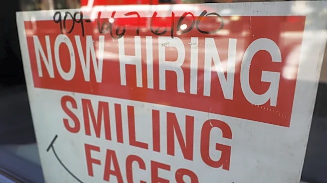 Job Market Evolution: A 20-Year Perspective on Job Applications
