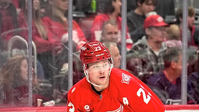 Detroit Red Wings Face Uncertainty as Dylan Larkin Requests Trade