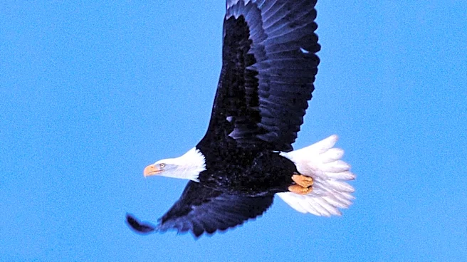 Eagles' Albums Dominate U.S. Best-Selling List, Surpassing Michael Jackson's Thriller