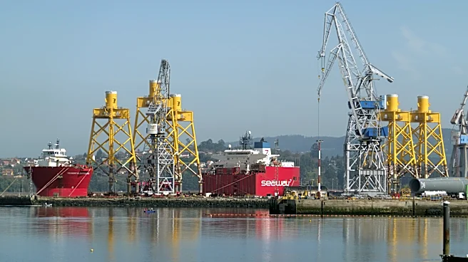 The Maritime Executive Highlights Global Shipbuilding Trends and Innovations