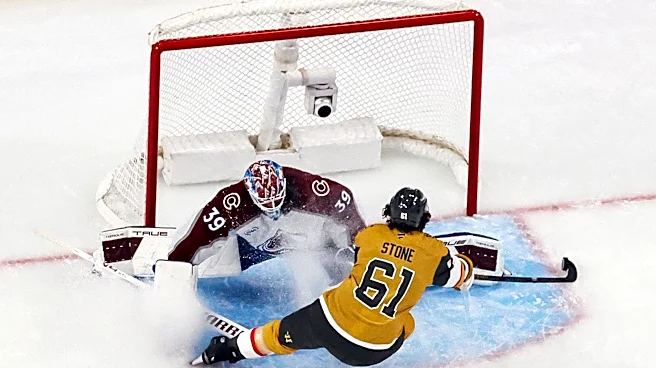 Boston Bruins Acquire Ivan Ivan from Colorado Avalanche in Player Exchange