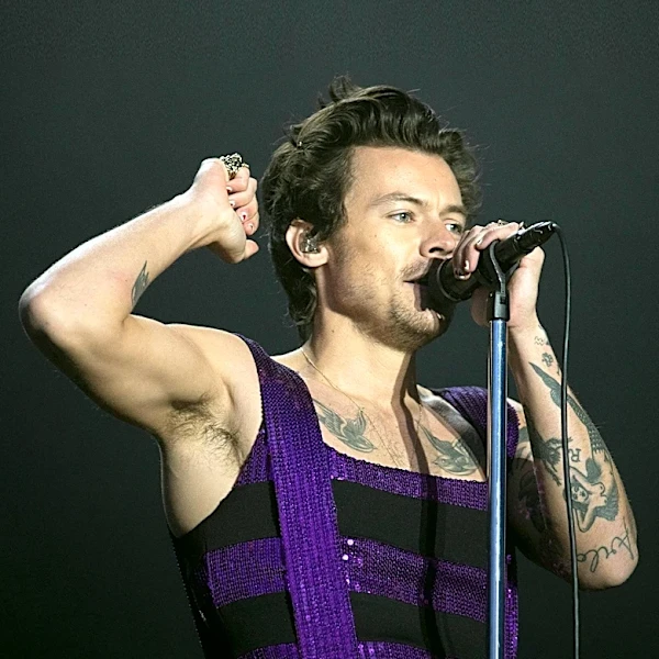 Harry Styles Collapses on Stage During Heatwave Performance
