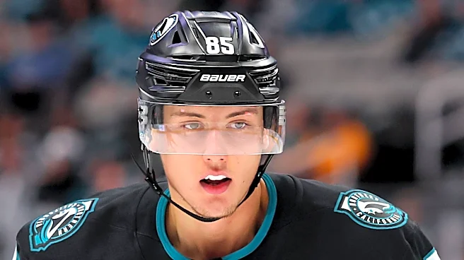 San Jose Sharks Draft 7-Foot Defenseman, Tallest Player in NHL History