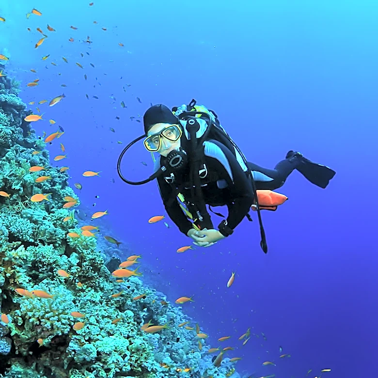 Entrepreneur Combines Scuba Diving and Coding to Create Unique Career Path