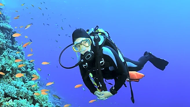 Entrepreneur Combines Scuba Diving and Coding to Create Unique Career Path