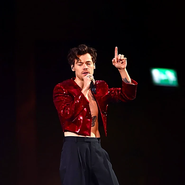Harry Styles Chokes on Water During Performance, Collapses Amid Heatwave