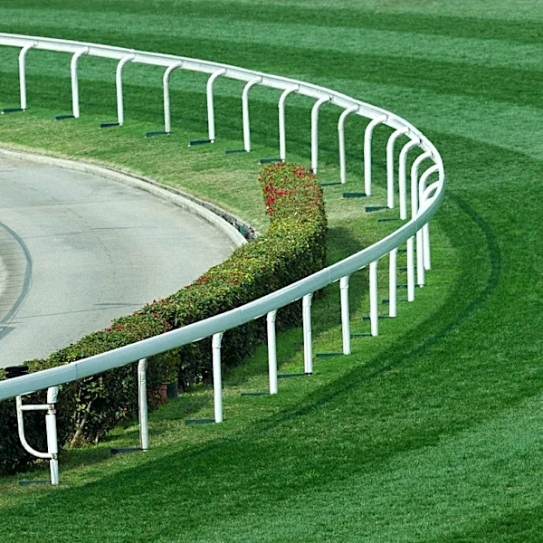 Aqueduct Racetrack Closes After Over a Century, Marking End of an Era for Queens