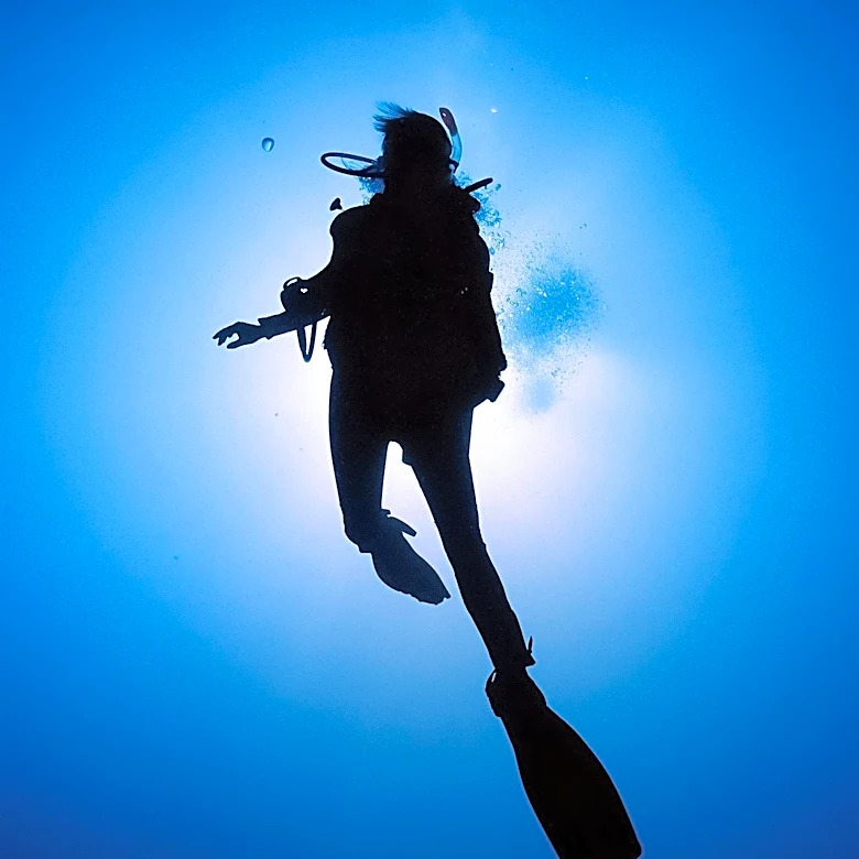 Eliana Jordan Combines Coding and Scuba Diving to Create a Unique Career Path