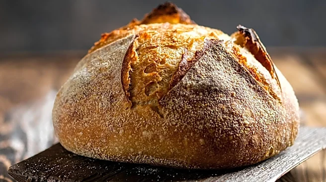 Sourdough Bread: Nutritional Benefits and Considerations
