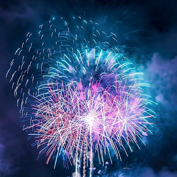 Pet Owners Advised on Fireworks Safety for July Fourth Celebrations