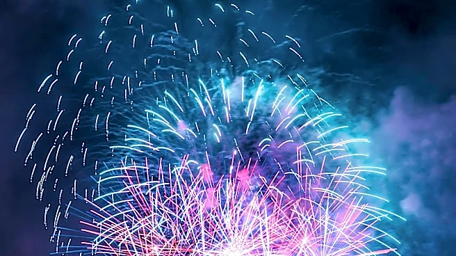 Pet Owners Advised on Fireworks Safety for July Fourth Celebrations