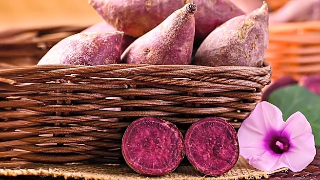 Ube Superfood Launches Organic Purple Yam Powder to Meet Rising Demand