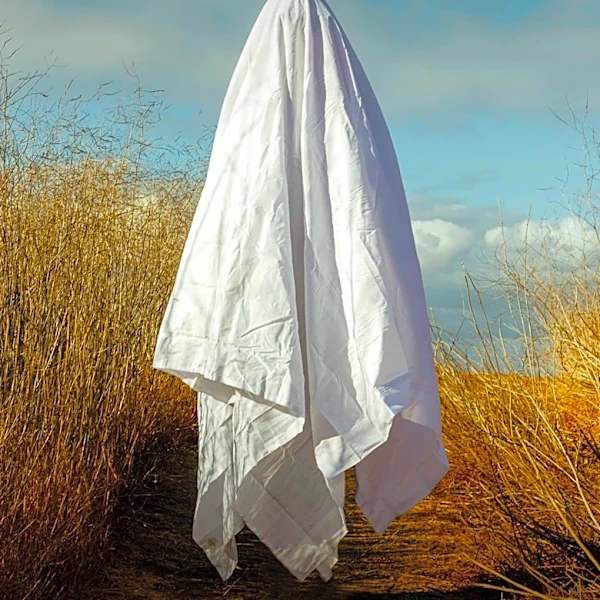Rising Trend of 'Ghost Jobs' Challenges Job Seekers with Unfilled Listings