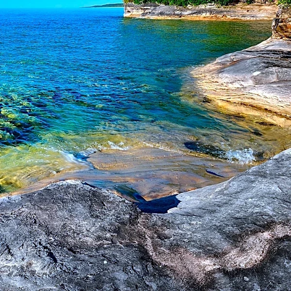 Charlevoix Summer Salon Showcases Northern Michigan Art in Downtown Exhibit