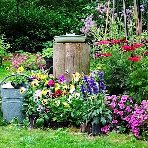 Big Mama's Backyard Garden Celebrates Milestone with 30,000 Bottles Sold and New York Showcase