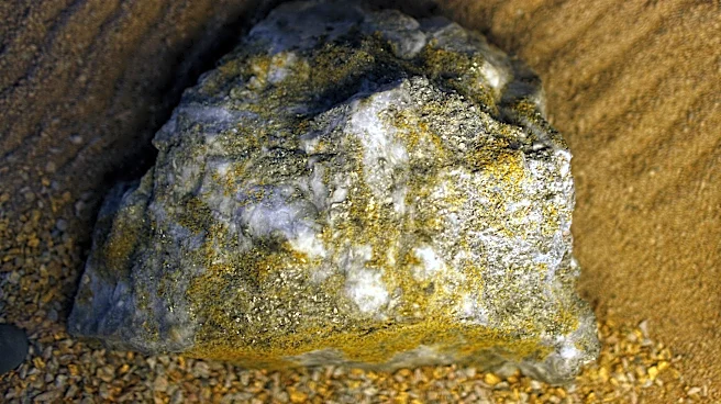 Benz Mining Advances Glenburgh Gold Project with Successful Drilling Results