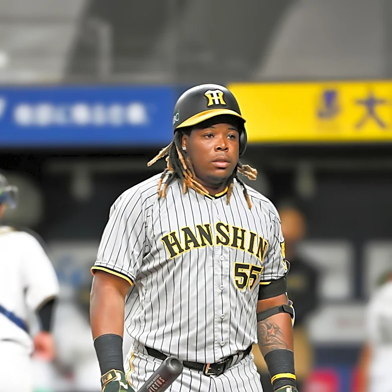 Former White Sox Reliever Anderson Severino Joins Japan's Hanshin Tigers