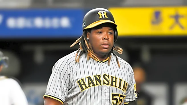 Former White Sox Reliever Anderson Severino Joins Japan's Hanshin Tigers