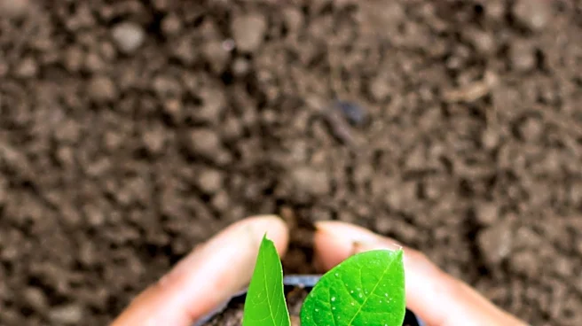 Nestlé's Nescafé Plan 2030 Achieves Milestone in Regenerative Agriculture