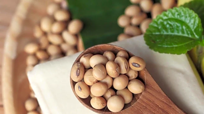 Amano Enzyme Inc. Introduces ProBoost Neutra to Enhance Plant-Based Food Formulations