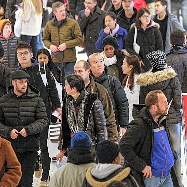 Retailers Offer Major Appliance Discounts During Holiday Sales for Cost-Conscious Shoppers
