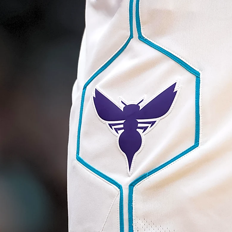 Minnesota Timberwolves Acquire LaMelo Ball in Major Trade with Charlotte Hornets