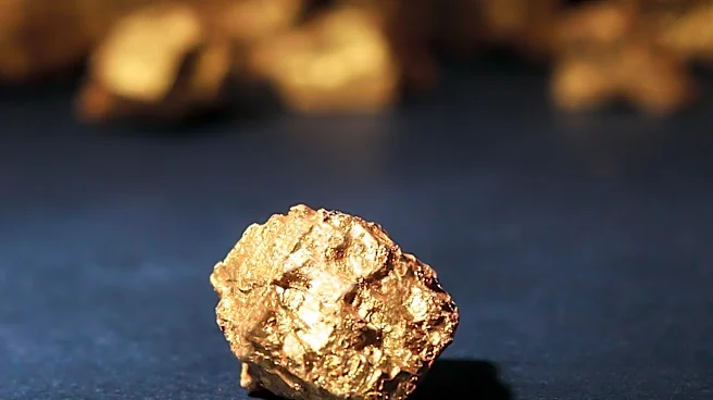 American Rare Earths Appoints New Director to Advance U.S. Rare Earths Project