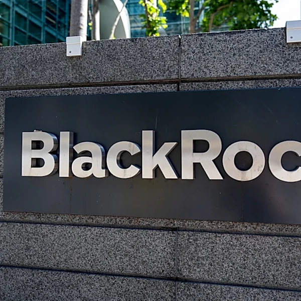 BlackRock Highlights New AI Investment Opportunities in Energy Infrastructure