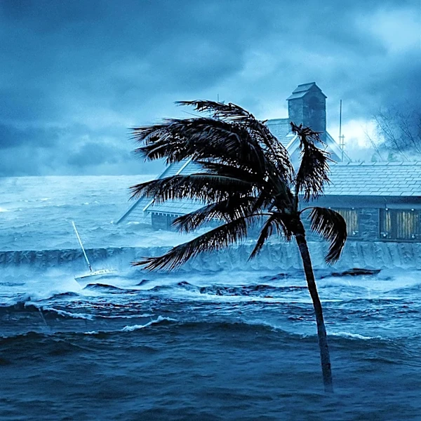 Insurance Industry Faces Criticism for Inadequate Climate Risk Management