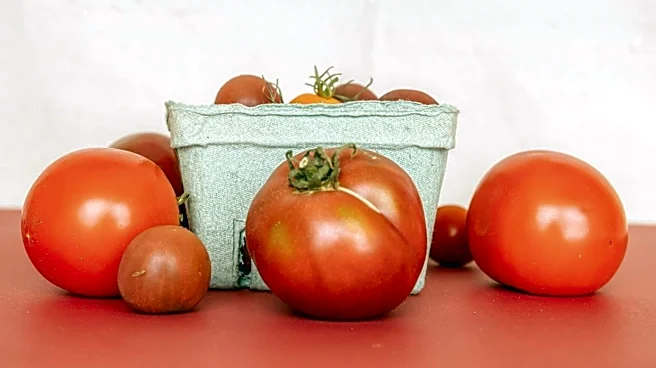 La Doria Acquires Solana to Strengthen Tomato Product Market Position