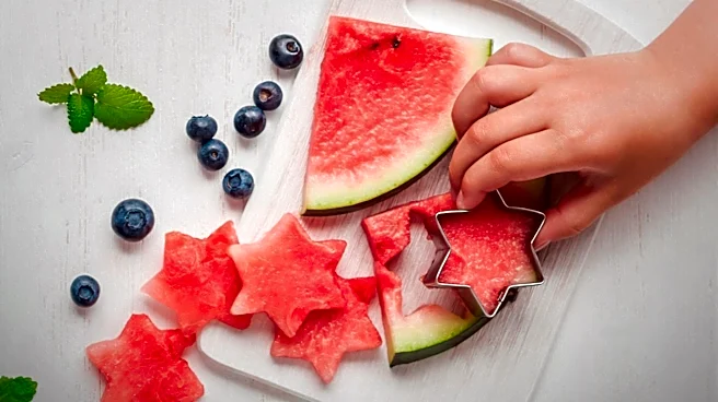 Affordable Tips for July Fourth Entertaining Shared by Lifestyle Expert