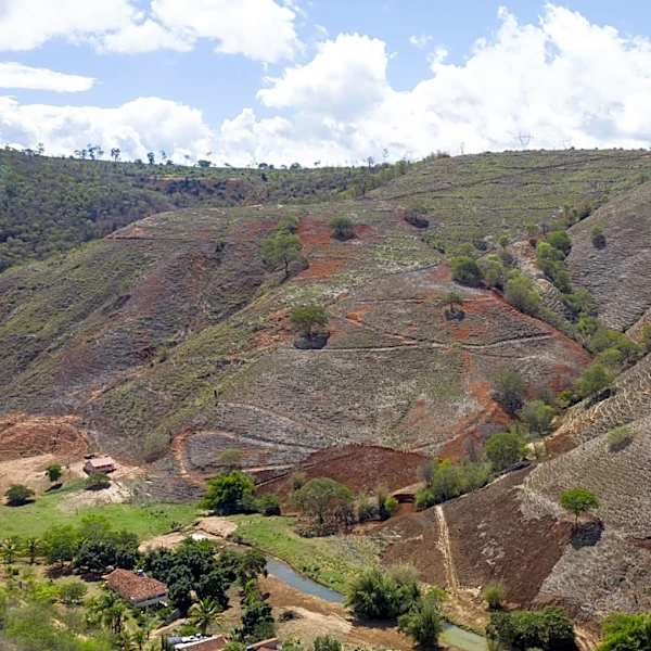 Orvana Minerals Expands Taguas Project with Acquisition of Evelina Claims