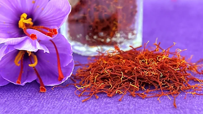 Affron Saffron Extract Shows Promise in Improving Mood and Self-Esteem in Women