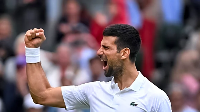 Novak Djokovic Responds to Fan's Proposal During Wimbledon Match