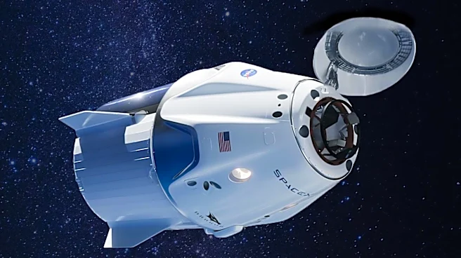 SpaceX's Revenue Composition: NASA's Role and Government Contracts