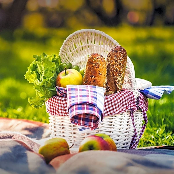 Picnic Essentials: Structurally Sound Foods for Outdoor Dining