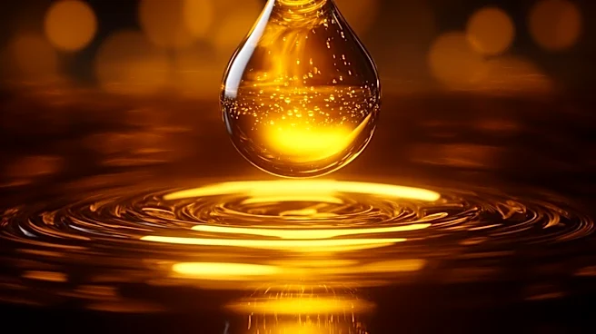 Algae Oil Supplements: Evaluating Their Effectiveness and Health Implications