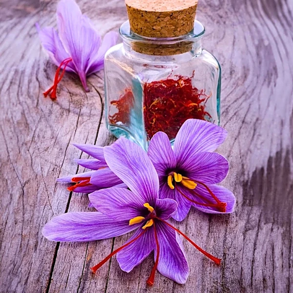 Pharmactive's Affron Saffron Shows Promise in Enhancing Mood and Self-Esteem in Women