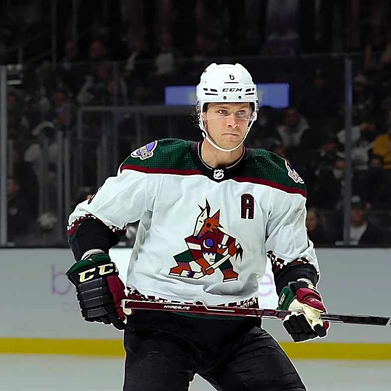 St. Louis Blues Sign Ross Johnston to Enhance Team Toughness