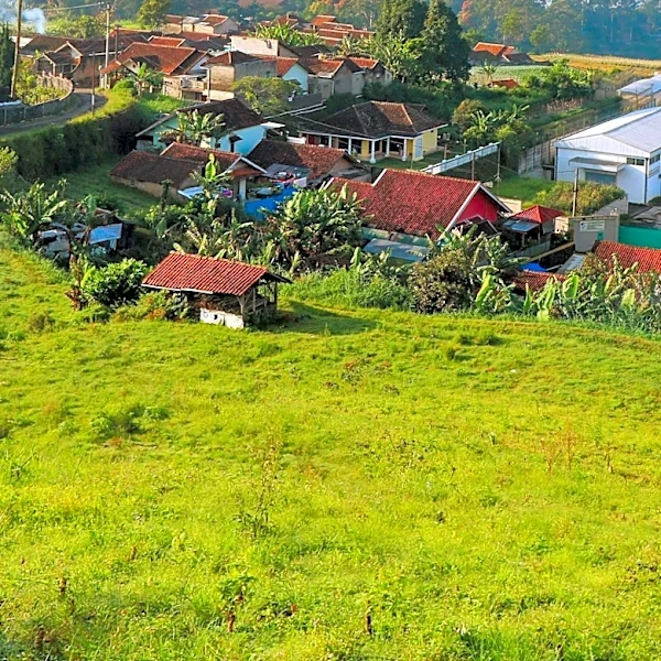 Former National Tourism Adviser Joins Rural Solutions to Enhance Rural Development