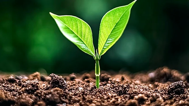 PepsiCo Advances Toward 2030 Agriculture Goals with Regenerative Practices
