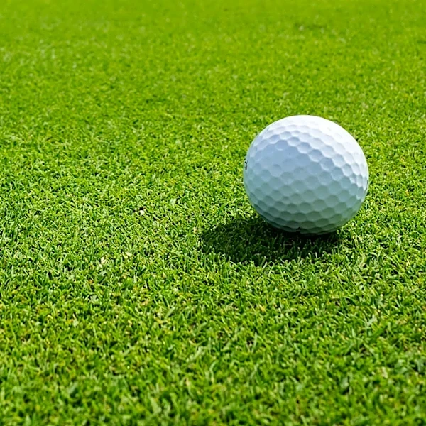 Golfers Face Increasing Incidents of 'Stolen Ball' Phenomenon on Courses