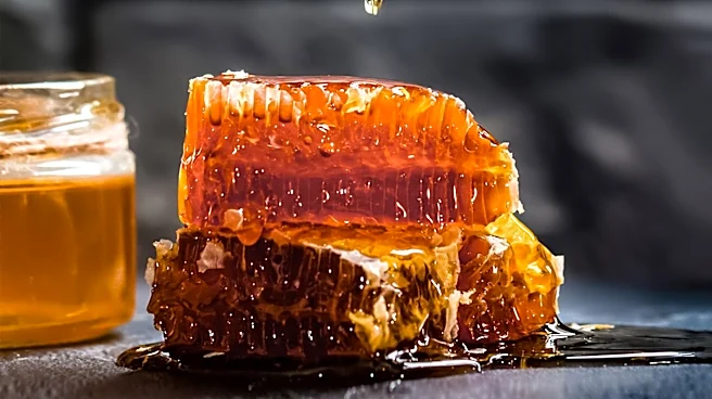 Exploring Honey's Versatility in Foodservice: A Sweet Opportunity