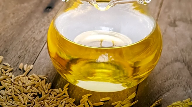 US Cooking Oil Market Faces Decline Amid Economic and Immigration Pressures