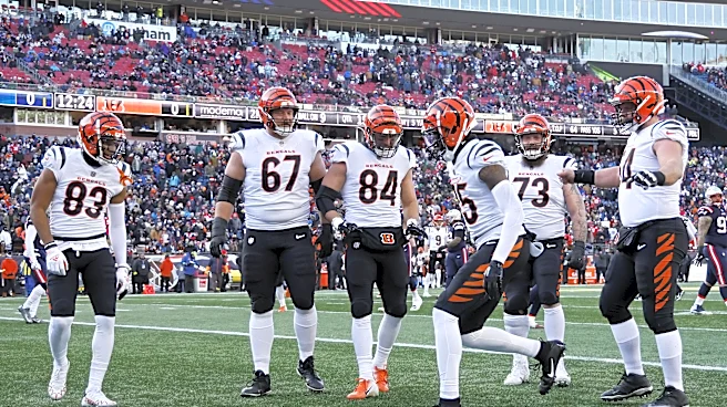 Bengals Players Featured in NFL.com's Mock Draft of Active Players