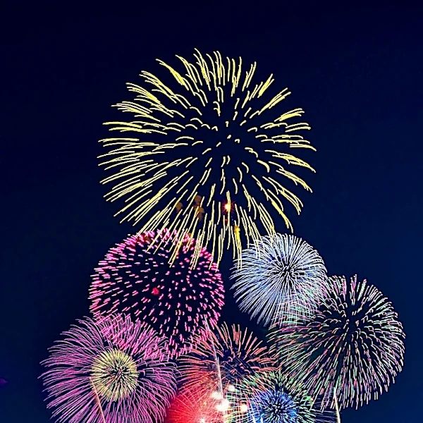 Michael Juliano Highlights Fourth of July Events in Los Angeles