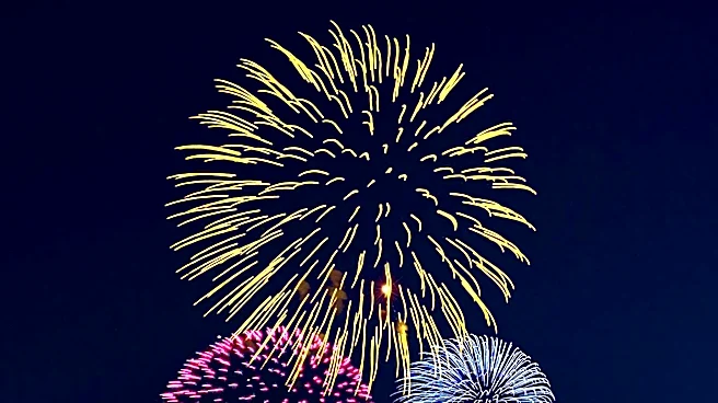 Michael Juliano Highlights Fourth of July Events in Los Angeles