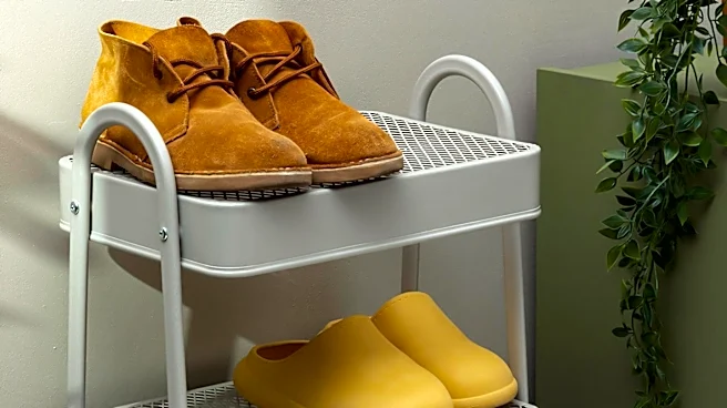 Amazon Customers Praise Utility Wagon for Versatility and Durability