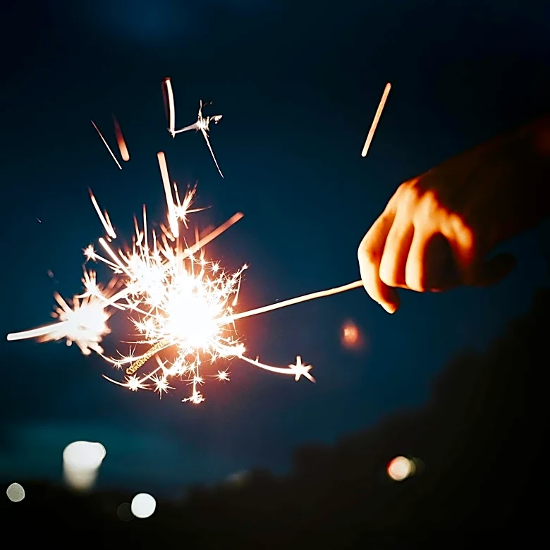 Veterinarian Highlights Common Mistakes Dog Owners Make During Fireworks, Urges Early Preparation